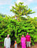 The elderly couple got Rs 2.5 lakh from organic chickpeas