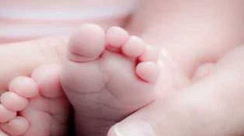 New Born Baby
