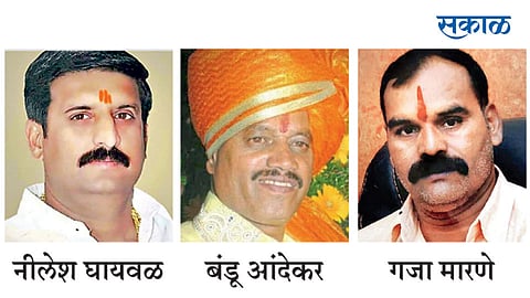 Nilesh-Bandu-Gaja