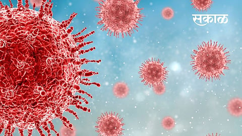 PFizer.