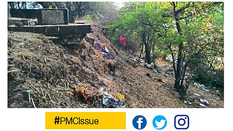 PMCIssue