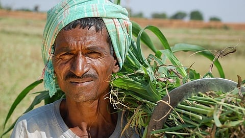 PM kisan