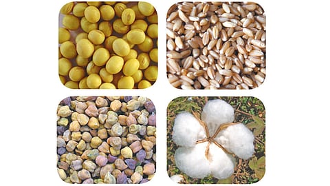 Pulses