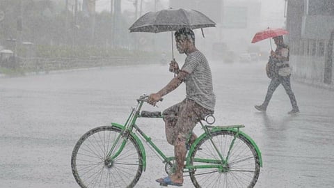 Rain