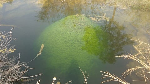 mountain in a well
