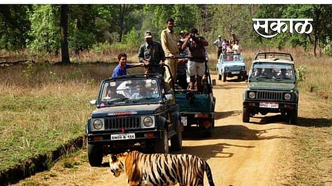 Now gipsy for 6 people available in Forest in Nagpur