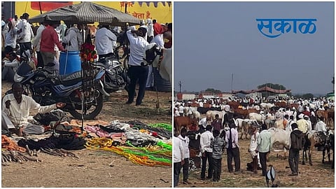 jamb bazar