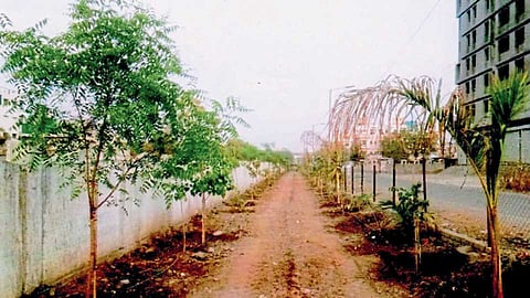 औरंगाबाद - उकिरड्याच्या जागेवर बहरलेले हेच ते शतपावली उद्यान.