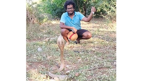 पुणे : ग्रामीण भागात वाढलाय सापांचा वावर; सर्पदंश झाल्यास...