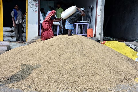 Soyabeen vikri.jpg