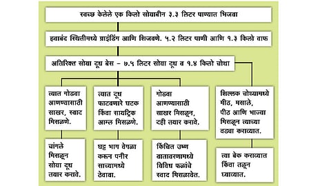 सोयाबीनपासून दूध, योगर्ट, पनीरनिर्मिती