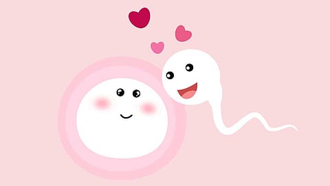 Sperm