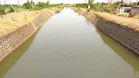 कालवा.
