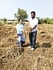 Farmers