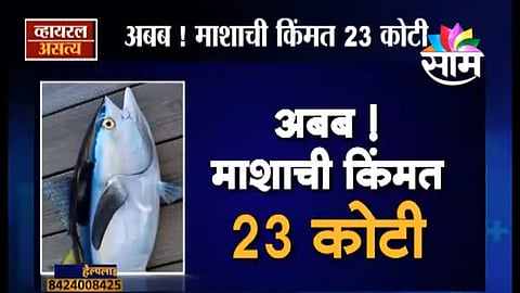 Viral Satya : अबब ! माशाची किंमत 23 कोटी ! (Video)