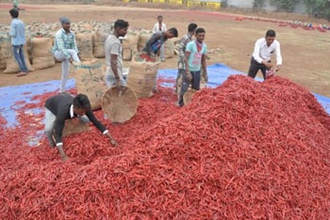 red chilly