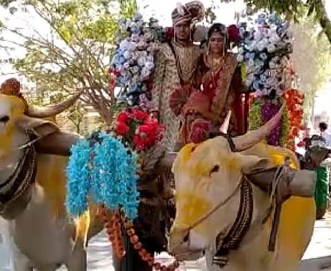 The bride was brought home in a bullock cart