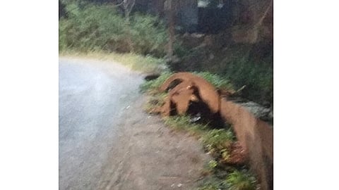 aambegav-datta-nagar.jpg