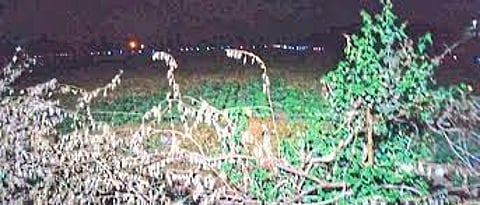 A young farmer from Mozari erected an LED light fence around the field