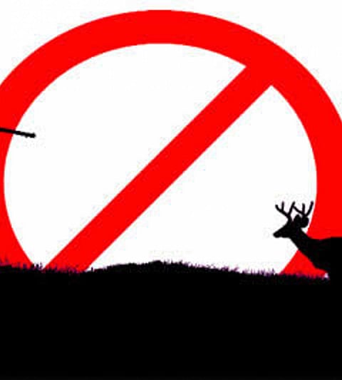 Crime against six people for hunting wild animals in Akkalkot taluka