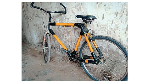 एका अवलियाने बनवली बांबूपासून इकोफ्रेंडली सायकल