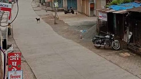 bhor.jpg