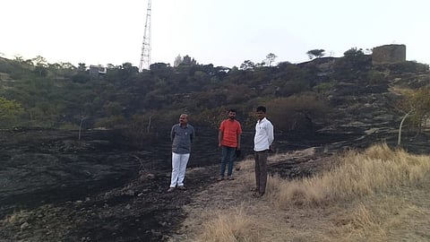 हौशी पर्यटकाने अन्न शिजवण्यासाठी लावली आग अन्...