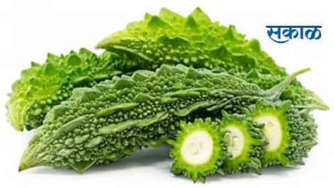 bitter foods benefits for life nagpur news
