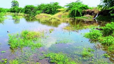 no canal cleaning in amravati