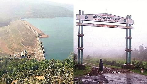 Chandoli Reservoirs and sanctuaries tourism closed for three days