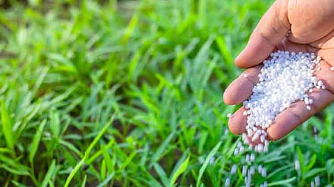 fertilizer