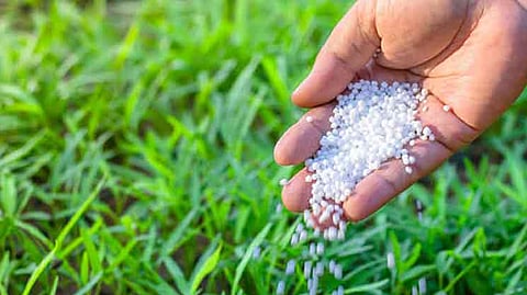 fertilizer