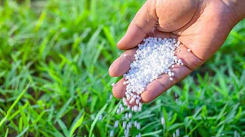 fertilizer
