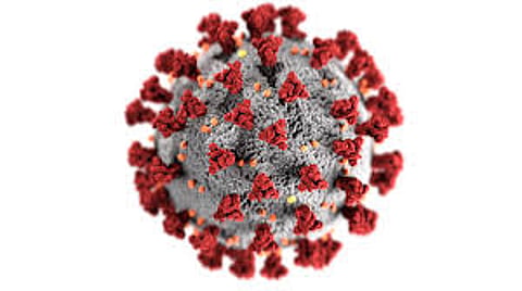 belgaum municipal corporation employee corona virus infected