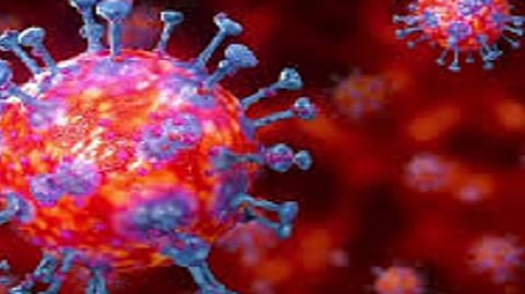 Nashik Corona updates
