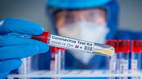 coronavirus, semen, coronavirus study, china