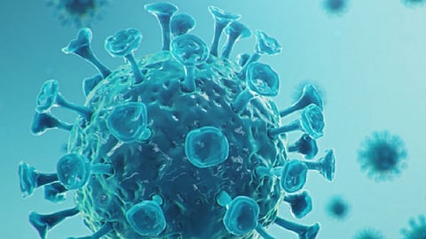 corona_virus