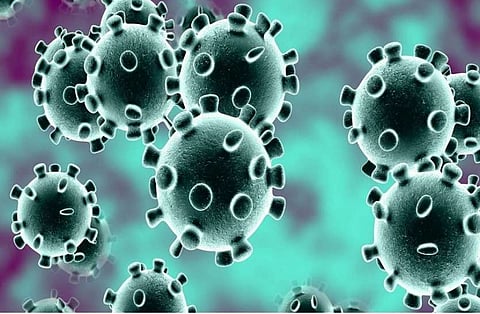 corona virus