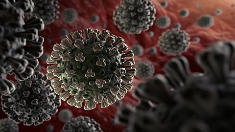 corona-virus 235.jpg