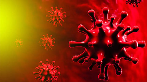 coronavirus update