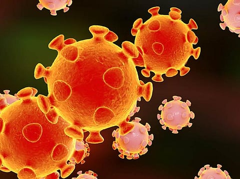 coronavirus