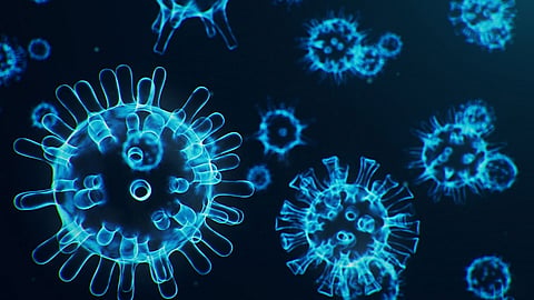 coronavirus.jpg