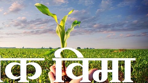 Farmers will get crop insurance jalgaon agriculture news