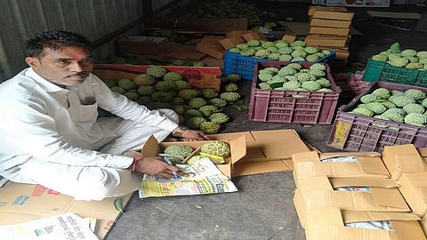 custard apple