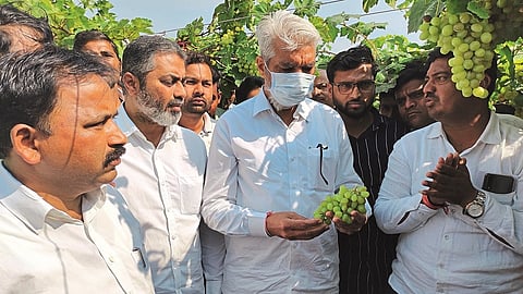 dada bhuse21.jpg