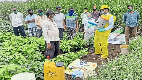 Agriculture Students Are Guiding The Farmers In Their Own Village Kolhapur Marathi News
