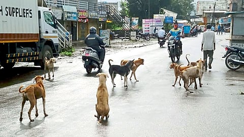patan