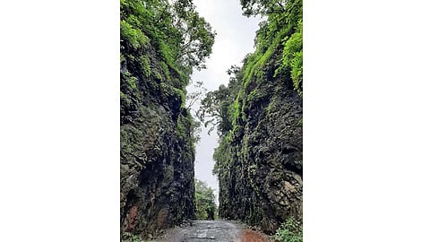 लोणावळा-पौड मार्गावरील 'ही' खिंड पर्यटकांसाठी ठरते आर्कषण; मात्र...