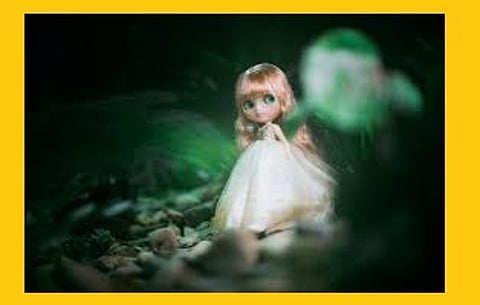 akola buldana Baby dolls taken for postmarking