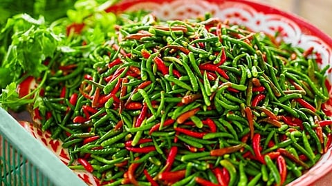 five hottest chili available in India tips marathi news